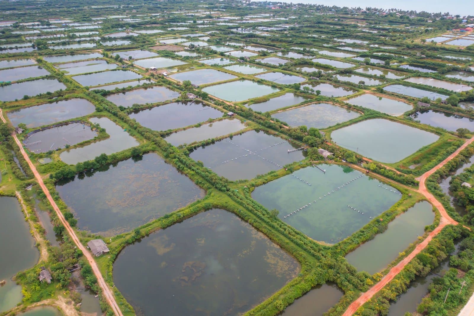 Aquaculture ponds — Aquaculture